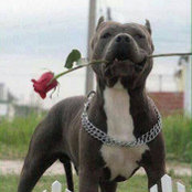 Mera Samora's photo
