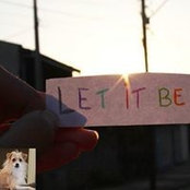 Pamela Forbus's photo