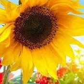 Barbara Guidry's photo
