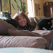 Karen Bailes's photo