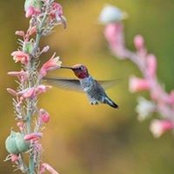Donna Mills's photo