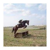 Aileen Horne's photo