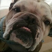 Louis Toledo's photo