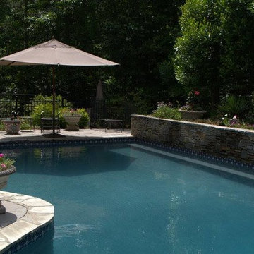Bringing Life to the Backyard- A Remodel