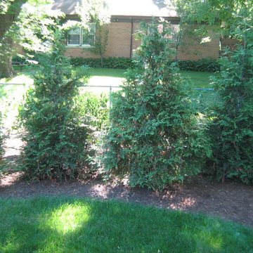 Glenview Backyard