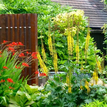 Tropical Garden in Northwood