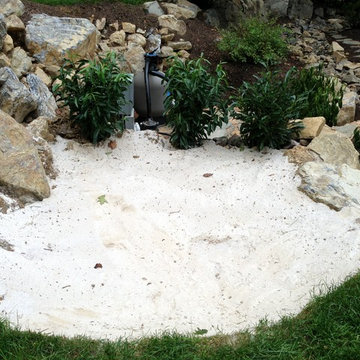 The Mountain Stream