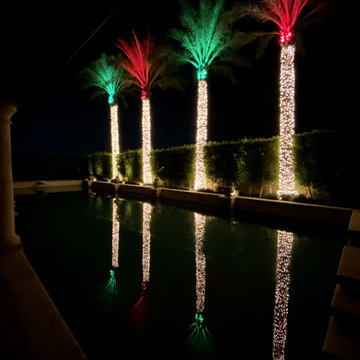 Christmas Light Installation by Stay Off The Roof!