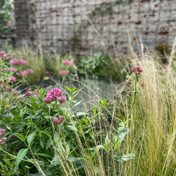 Toiture terrasse de 40m2 à Saint Gilles / Prairie fleurie