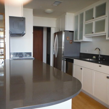 Modern Kitchen Remodel in Honolulu