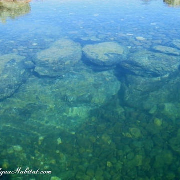 Natural Swimming Pool / Pond