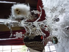 Guest Picks: Dreaming of a White Christmas