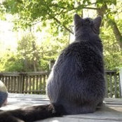 Christina DeAngelo's photo
