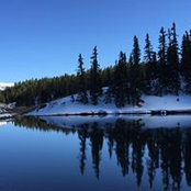 Rachael Laun's photo
