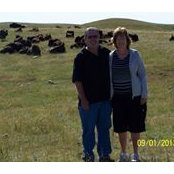 Randy Whalen's photo