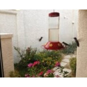 Leslie Salisbury's photo