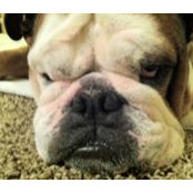 Chris Zoeller's photo