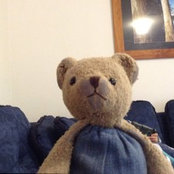 Foto von moshibear0