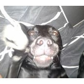 Kevin Bissinger's photo