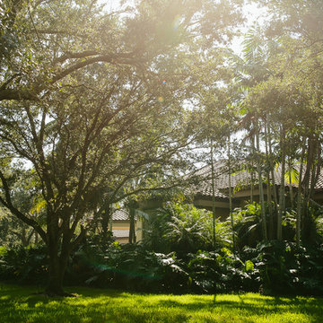 Miami Escape