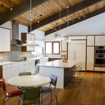 East Grand Rapids Modern