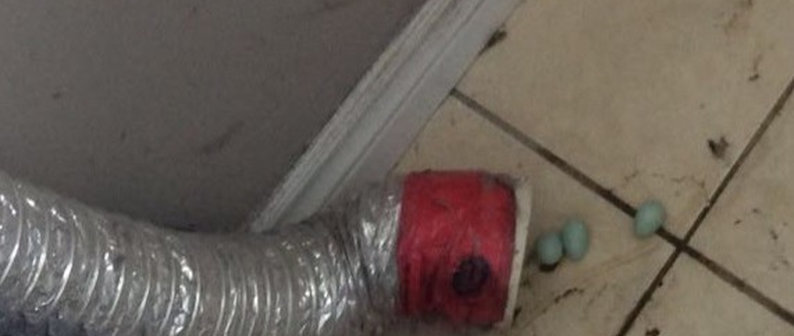 fully automatic washing machine with 100 dryer