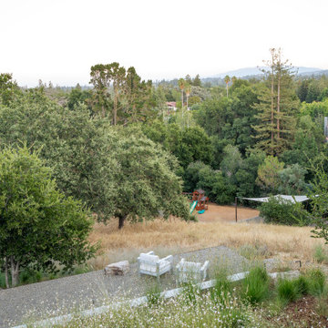 Natural Hillside Connection and Play