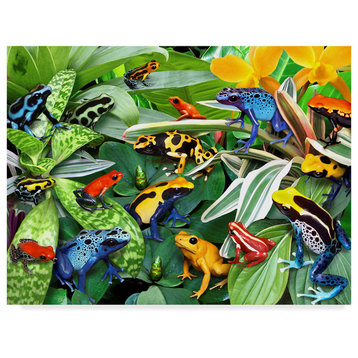 "Dart Frogs" by Howard Robinson, Canvas Art
