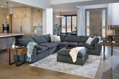 Inspiration for a contemporary living room remodel in Denver