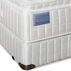 Asteria Carina Pillow Top Queen Set - Bloomingdales.com - Products