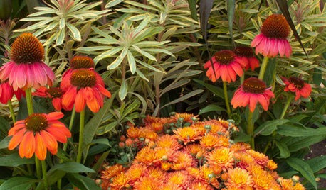 12 plantations et travaux à effectuer fin août dans son jardin