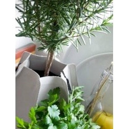 Authentics - Authentics - Indoor Pots And Planters