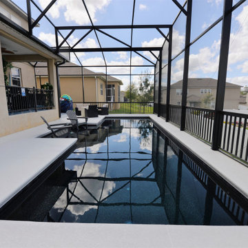 Custom Swimming Pool in Ocoee, Florida