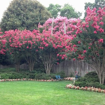 Crape Myrtle Garden