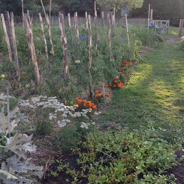 NOTRE VITRINE DE SAVOIR FAIRE ----POTAGER BIO
