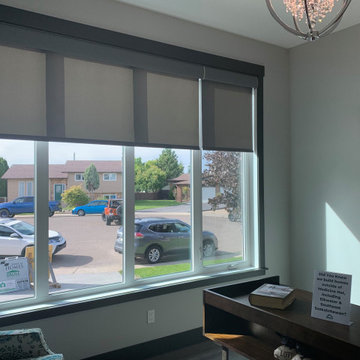 Lutron Roller Shades