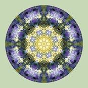 Catherine Etcheverry's photo