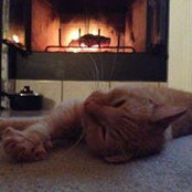 Carrie DeRegis's photo