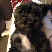 Steff Goltz's photo