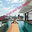 Miami Pool And Spa Repair