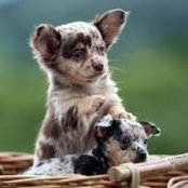Rachel Maurine's photo