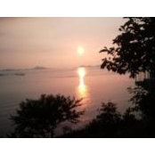 Sunah Park's photo