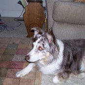Gail Robinson's photo