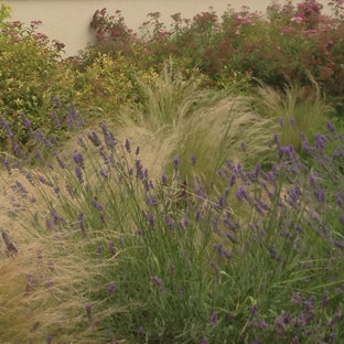 Cette image montre un jardin style shabby chic de taille moyenne.