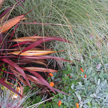 Frontyard: Eclectic Mediterranean