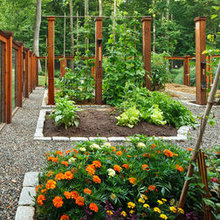 Landscape Ideas