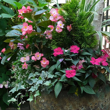 Summer Containers
