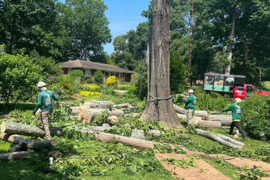 This is an example of a landscaping in Atlanta.