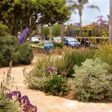 Backyard Soft scape