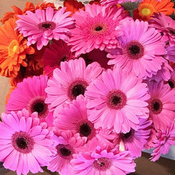 Our Flowers - Products